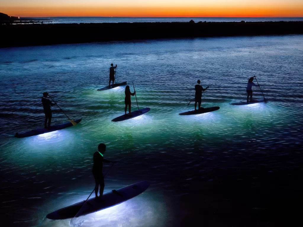 night board night board